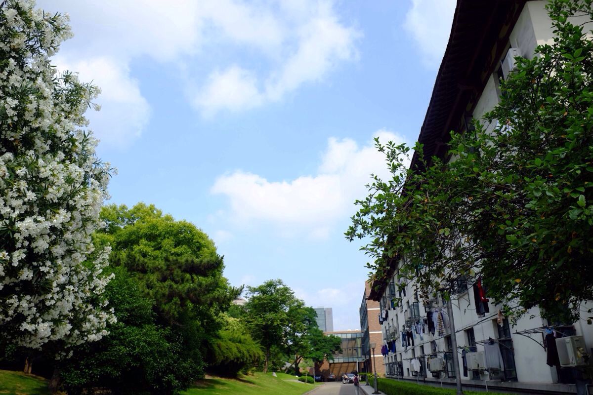 宜宾职业技术学院2020年奖助学措施