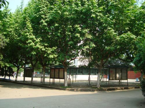 2019年四川省工业贸易学校招生对象及招生条件