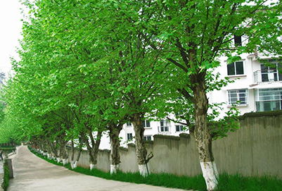 成都职业技术学校找工作难不难