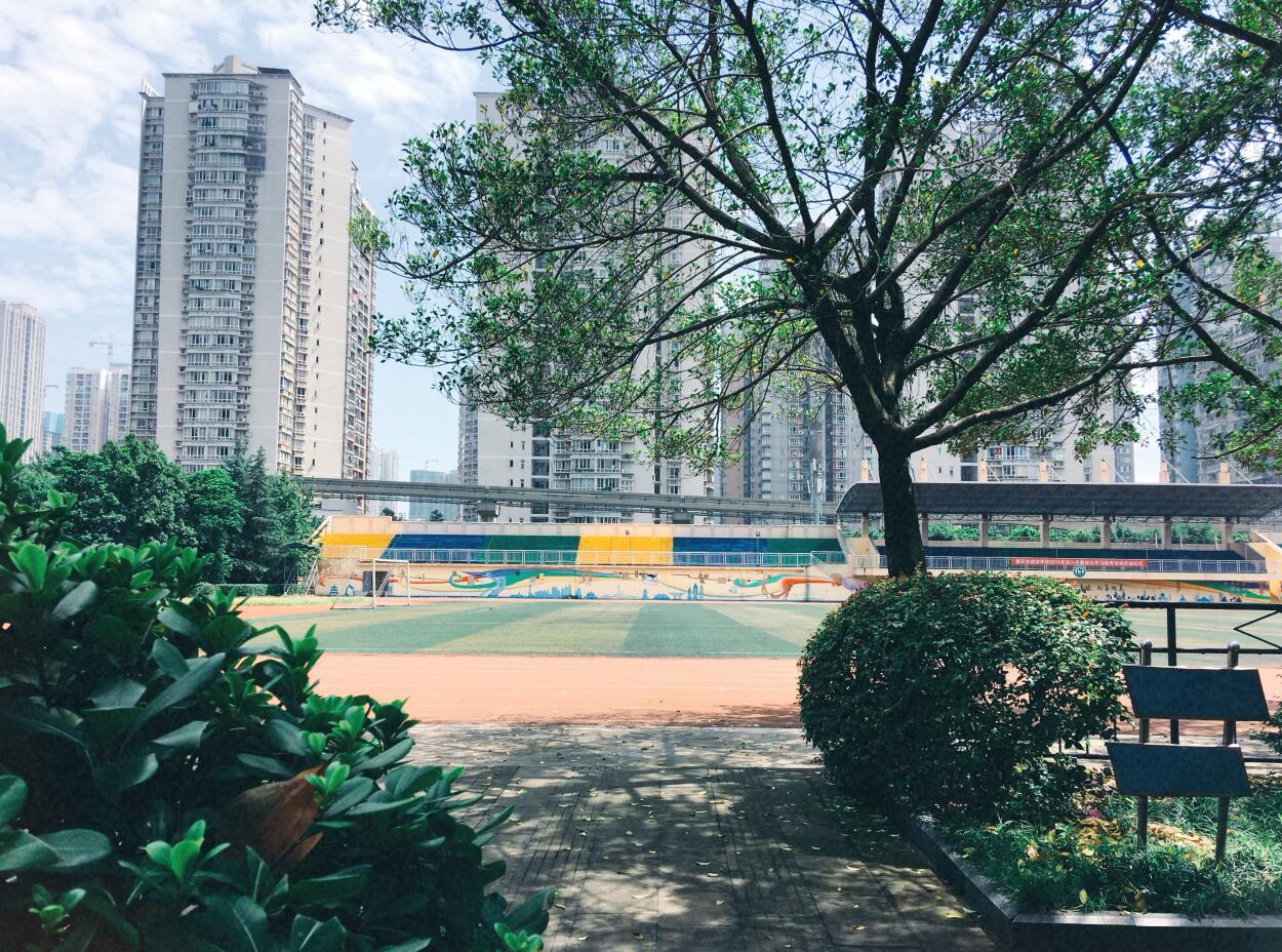 重庆市旅游学校环境图