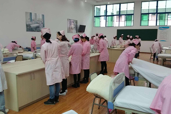 重庆市医药科技学校药剂专业2019年招生人数有多少