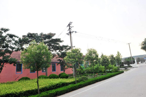重庆市巫溪县职业教育中心计算机应用专业2019年招生人数