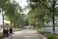 宜宾职业技术学院学校？