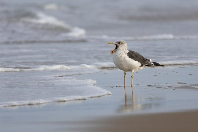 云南青科职业学校2025年招生简章