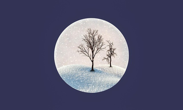 云南农业职业技术学院2025年五年一贯制大专招生简章