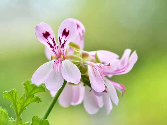 四川单招各学校