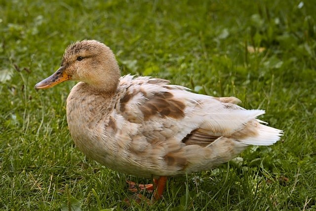 四川中职单招专业考试