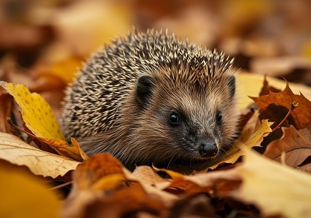 成都卓慧单招培训，成都桌慧单招培训学校怎么样