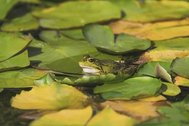 成都单招培训机构怎么样