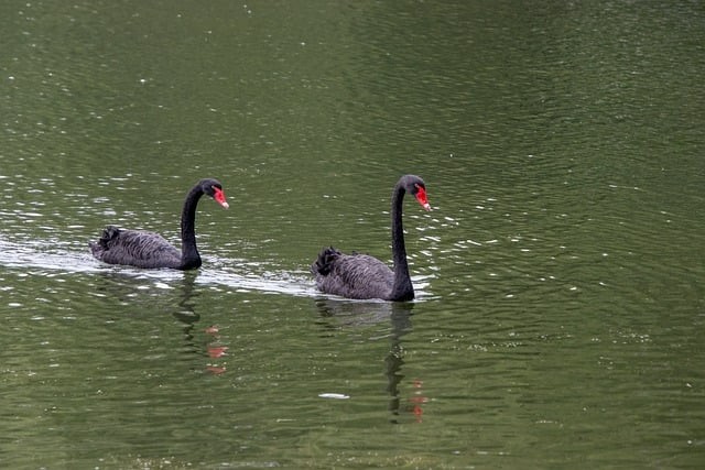 四川省单招有多少人