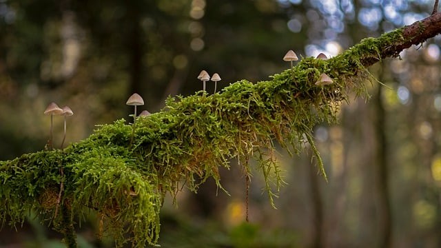 四川单招公办好考吗