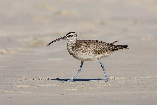 成都中职单招培训机构，成都高职单招培训机构