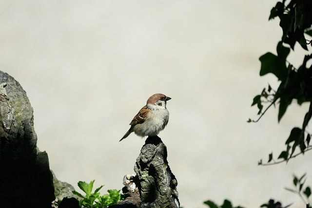 昆明城市工商管理学校2025年中专/中高职一体化招生简章