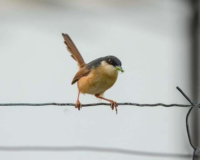 四川省德阳市旅游职业学校2025年春季招生简章