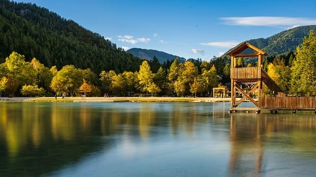 四川中职单招必背语文