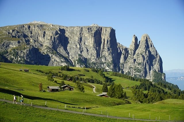 四川职业技术学院单招，四川职业技术学院单招专业