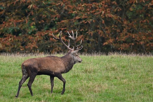咨询成都单招培训机构，成都单招培训学校招生简章