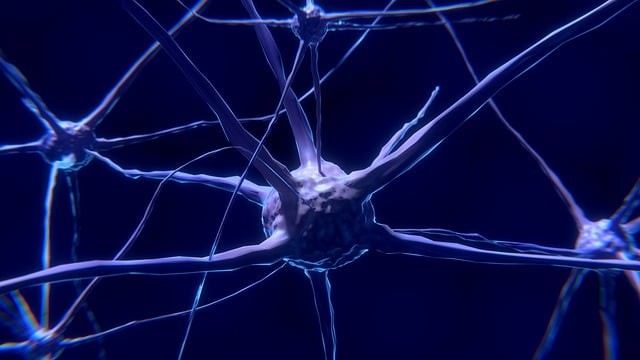 重庆市卫生学校的高级护理专业前景怎么样?