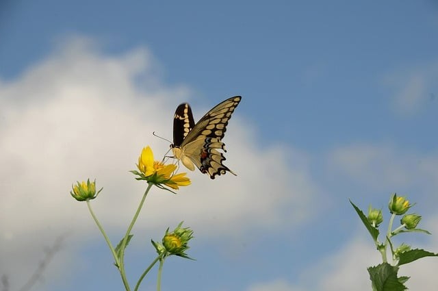 单招英语试卷成都