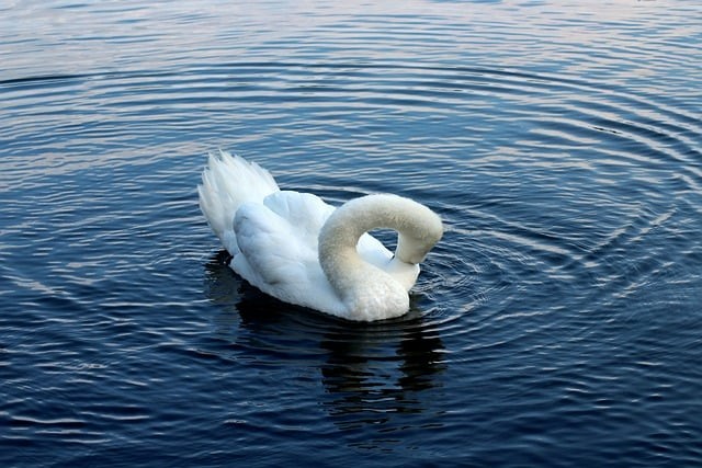 成都农业科技职业学院2025年单招情况