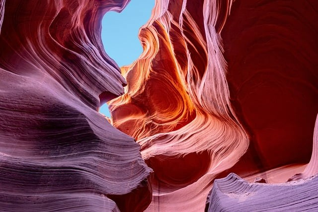 四川单招试卷中职