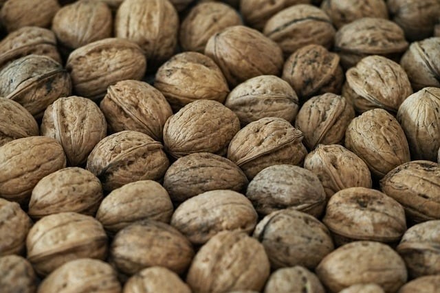 成都单招培训机构宏，成都正规单招培训