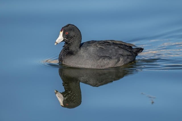 四川省单招专科学校
