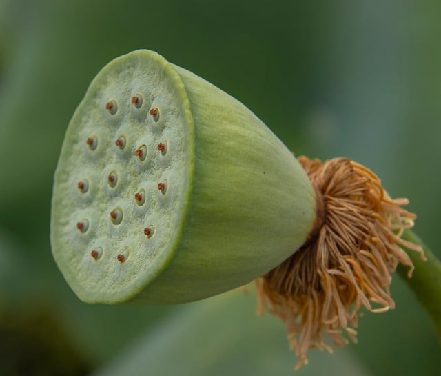 四川对口升学单招