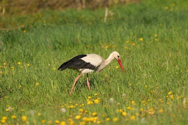 四川语文单招真题