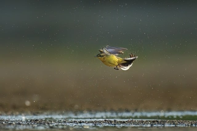 四川省单招培训学校成都