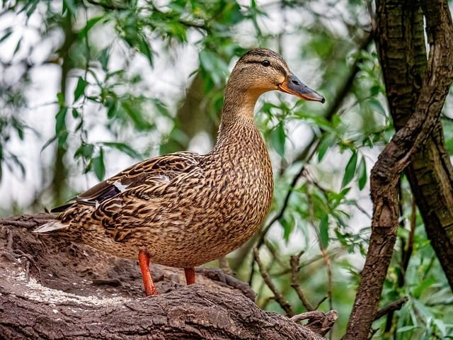 四川省交通大学单招