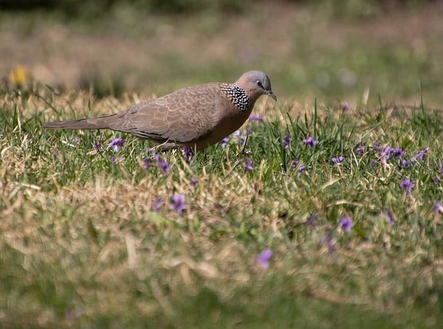 四川高职单招卷子，四川高职单招试卷