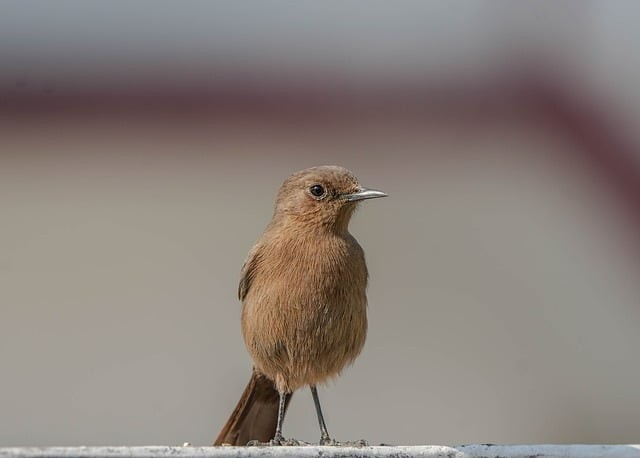 云南冶金高级技工学校2025年招生简章