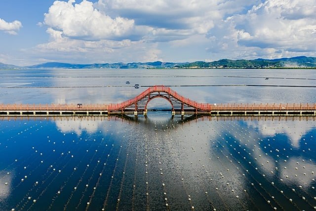 成都单招文化一对一