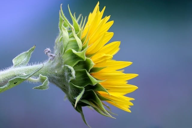 贵阳幼师学校有时候专业专业性强吗?