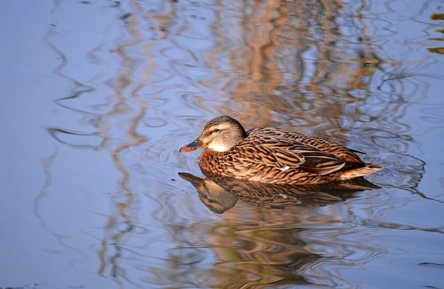 四川单招例题，四川单招考试题型