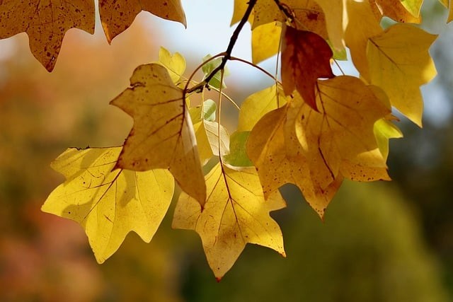 四川卫康院中职单招