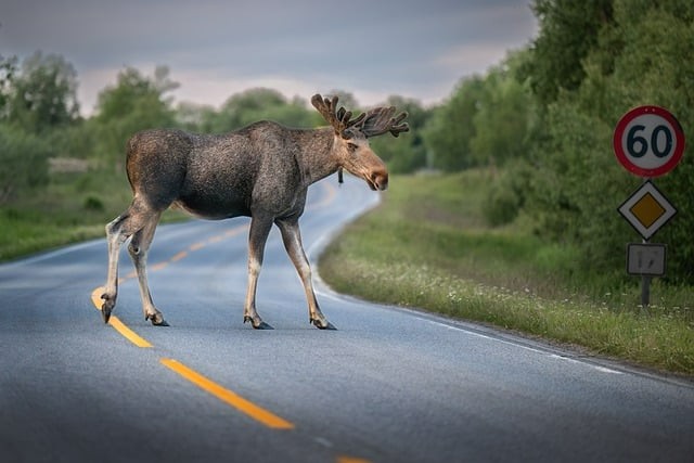 单招培训成都四川