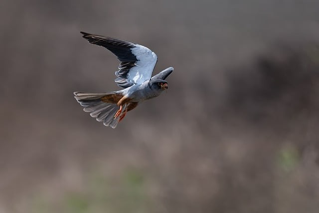 云南城市建设职业学院2025年五年一贯制大专招生简章