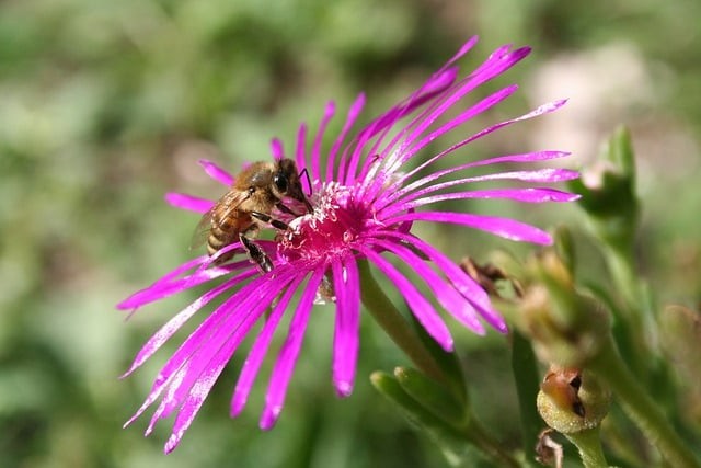 四川单招土木，四川单招土木工程有什么学校