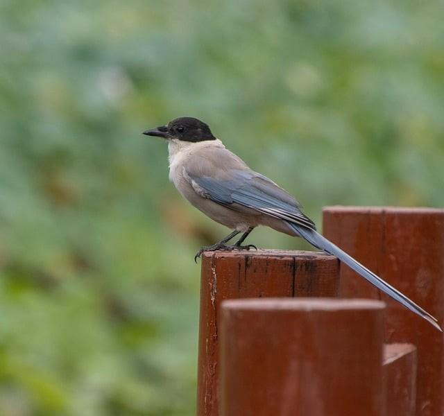 昆明冶金高等专科学校2025年五年制大专招生简章