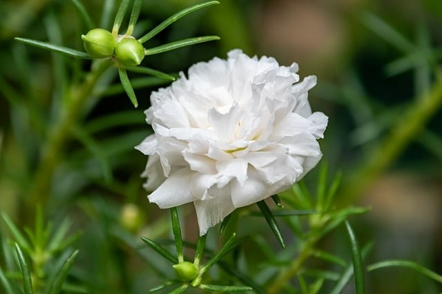 四川数学单招卷子