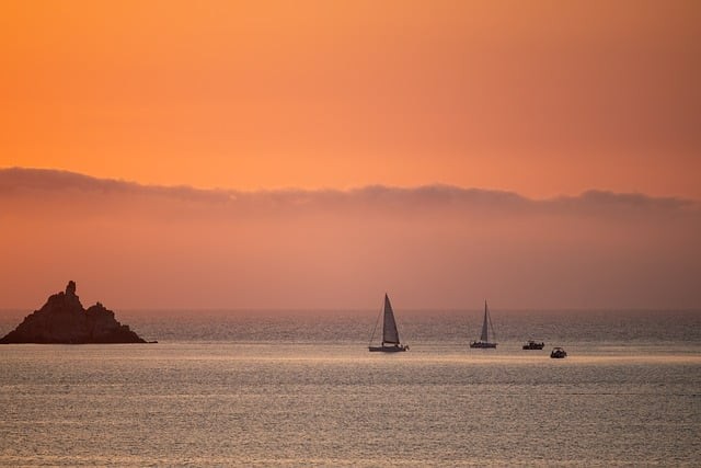 成都单招可报考大学名单