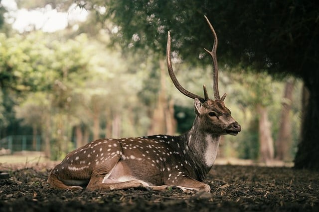 成都单招信息技术平均分