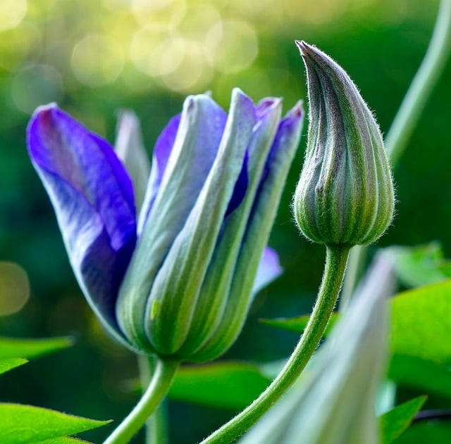 成都单招培训学院在哪里，成都单招培训机构有哪些