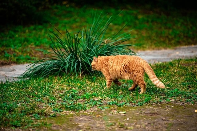 四川单招填报书，四川单招填报书籍有哪些
