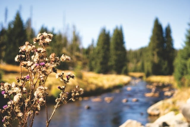 成都单招培训学校环境，成都单招培训学校环境图片