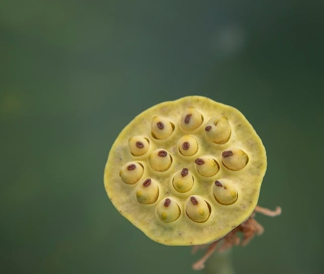 四川单招学校排行
