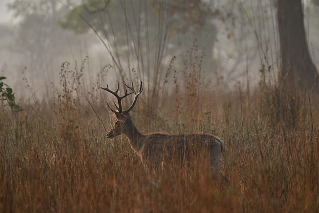 四川省普高高职单招