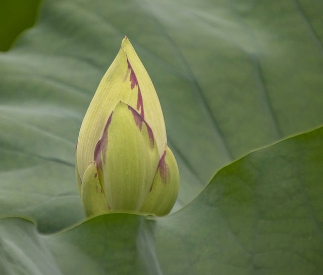 阆中江南高级职业中学2025年春季招生简章